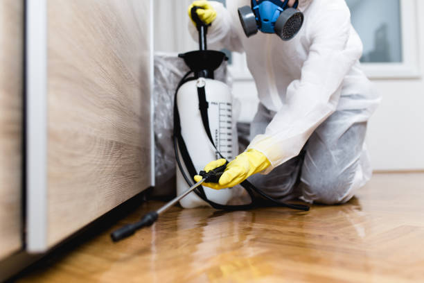 Best Best Pest Control Near Me  in Pinehurst, MA