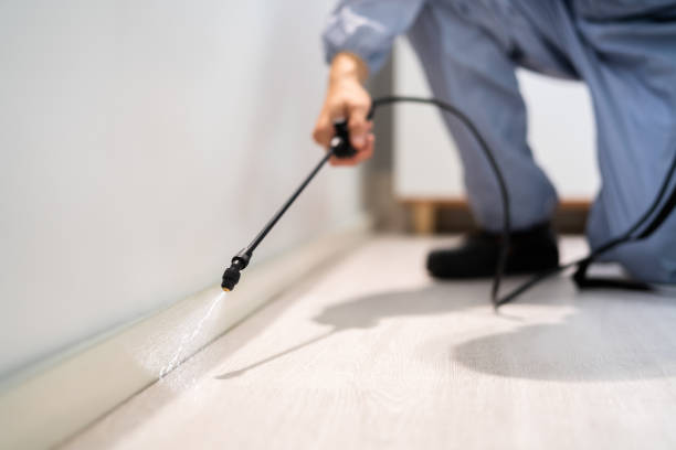 Pest Control Cost in Pinehurst, MA