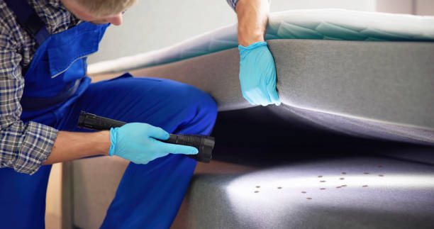 Trusted Pinehurst, MA Pest Control Experts