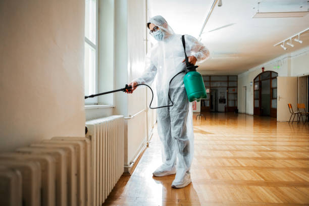 Best Local Pest Control Services  in Pinehurst, MA