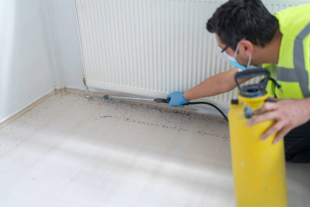 Best Pest Prevention Services  in Pinehurst, MA